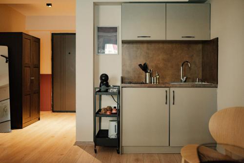 a kitchen with a sink and a counter at Central Studio Apartments by Parkside Boutique in Skopje