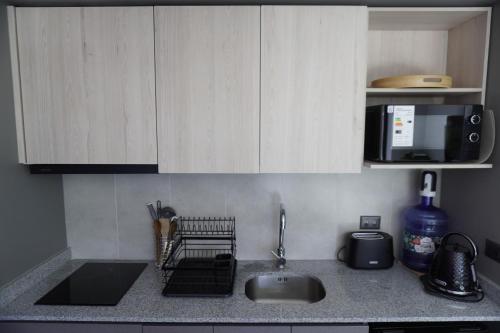 サンティアゴにあるDepartamento full equipado a pasos del movistar arena, moderno y cómodo con toda la magia del surのキッチン(シンク、電子レンジ付)