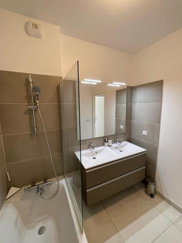 une salle de bain avec un lavabo, une douche et un miroir dans l'établissement Large apartment with air conditioning, terrace and parking, à Montpellier
