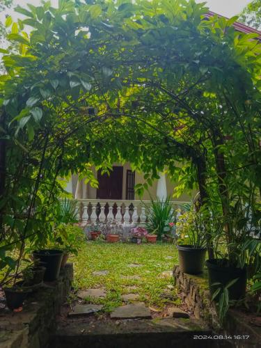 a garden with an arbor in front of a house at Sanduhan Villa in Warakapola