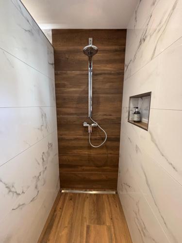 e bagno con doccia e parete in legno. di Biobergbauernhof Bergzeit Apartment in Goldegg a Goldegg