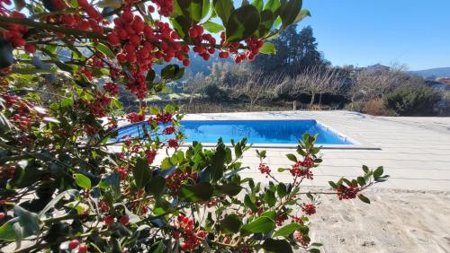 a swimming pool on the roof of a house at Casa Dos Strecht's in Castelo de Paiva
