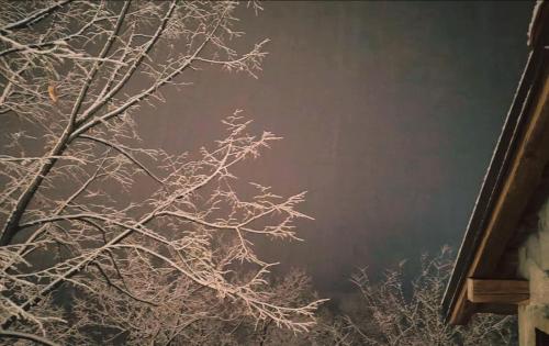 Fotografie z fotogalerie ubytování Vila Čarna v destinaci Međuvršje