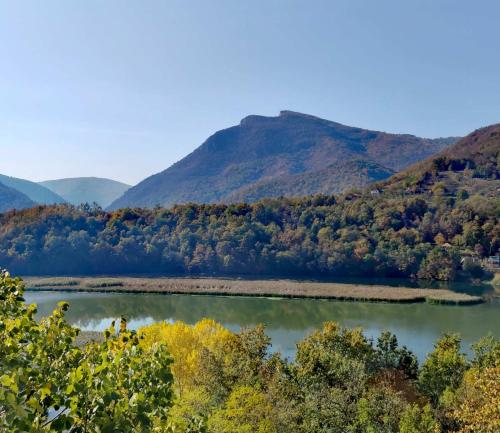 Un paisaje natural cerca del departamento