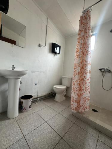 a bathroom with a toilet and a shower curtain at Hostal Duchantu in Dichato
