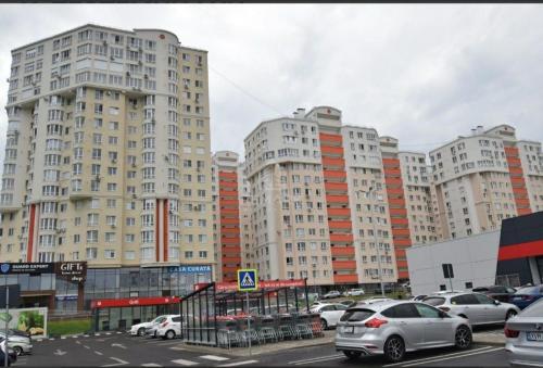Ботаника Тесцимициану Молл парк долина роз