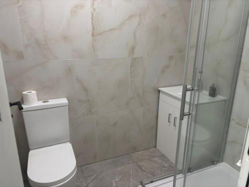a bathroom with a toilet and a glass shower at Luton Centrally Located Apartment v close London Luton Airport in Luton