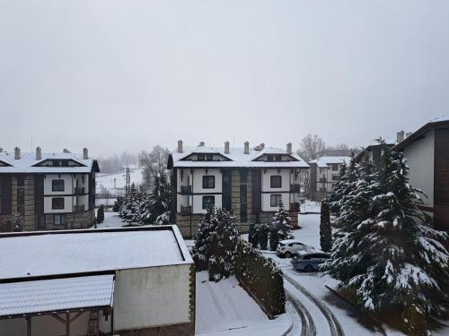 Sunny Mountain View apartment en invierno