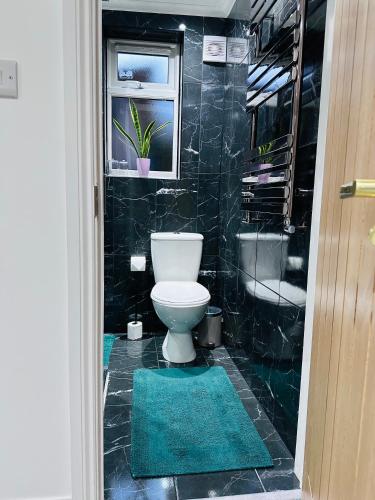 a bathroom with a toilet and a window and green rugs at Studio Flat in Wythenshawe