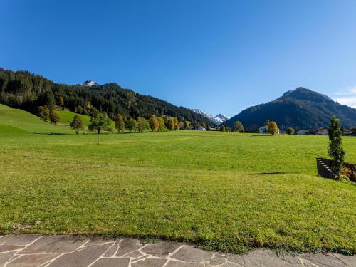 a field of green grass with mountains in the background at Chalet Rettensteinblick in Aschau