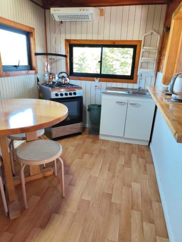 克利翁Cabaña en Quellón的带桌子和炉灶的小厨房