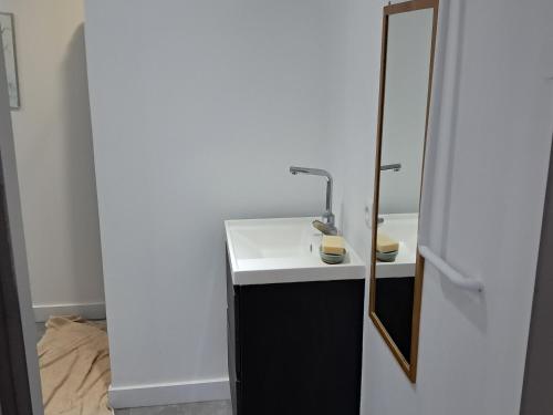 a bathroom with a sink and a mirror at Appartement de vacances in Illkirch-Graffenstaden