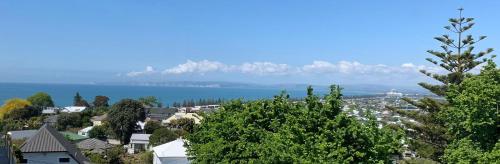 a view of a town with a lake and mountains at Seaview on Sealy Apartment in Napier