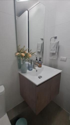a bathroom with a sink and a mirror at Montenegro 2 dormitorios in Temuco