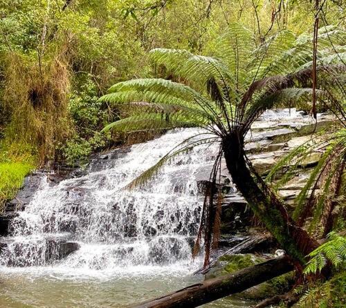 Paesaggio naturale nelle vicinanze della casa vacanze