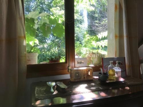 Kuchnia z oknem i kuchenką mikrofalową w obiekcie Casa rural junto al Río Chubut (Ty'r Bont) Trelew w mieście Trelew
