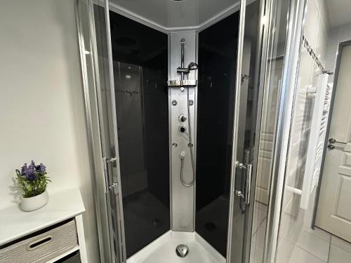 una ducha con puerta de cristal en un baño en T2 avec jardin, terrasse et Wifi à 1km des Thermes - FR-1-541-156, en La Roche-Posay