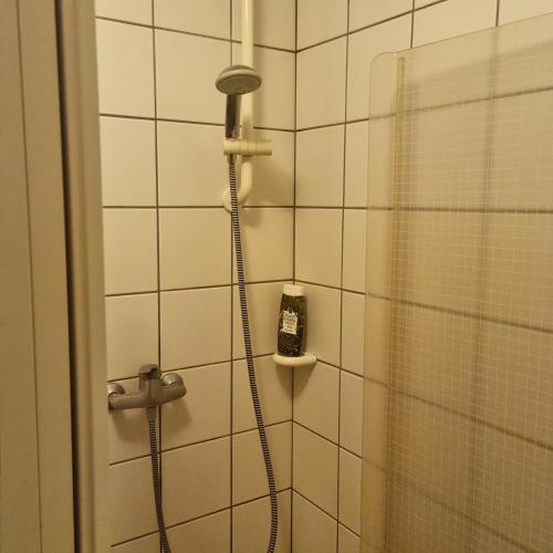 a shower with a shower head in a bathroom at 2x Einzelbetten - Gästezimmer - 11min von Gießen Zentrum 8,4km in Fernwald in Steinbach