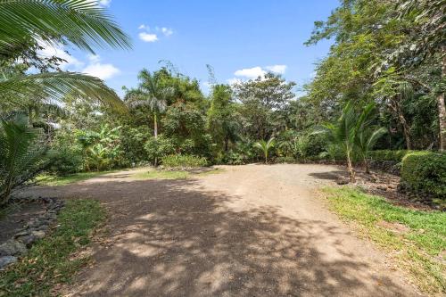 a dirt road in the middle of a forest at Balu Retreat Center in Playa Junquillal