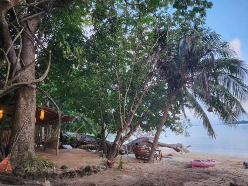 Landskap semula jadi dekat dengan perkhemahan ini
