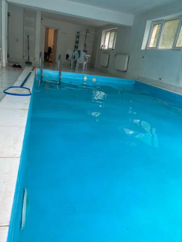 a swimming pool with a blue coating on it at Nina's winery forest house in Kiketi in Tbilisi City