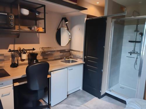 Elle comprend une petite cuisine équipée d'un évier et d'un réfrigérateur noir. dans l'établissement republic studio, à Nantes