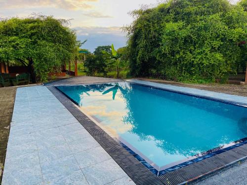 a swimming pool with a dolphin in the water at Yala Green Eco Lodge in Kirinda