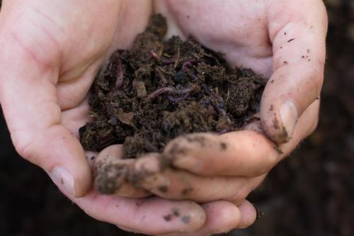 a person holding a pile of dirt in their hands at De Kombuys in Oudtshoorn