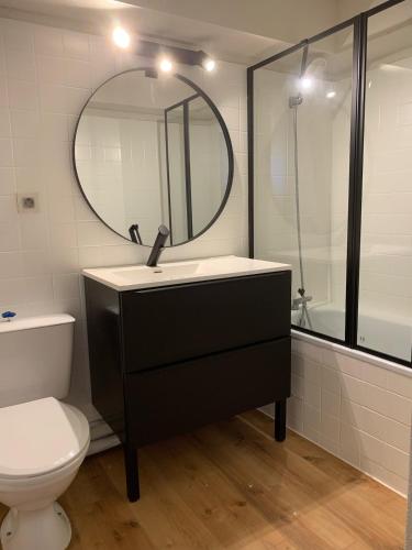 une salle de bain avec un lavabo et un miroir et des toilettes dans l'établissement Appartement charme 5 personnes, à Saint Cyprien Plage