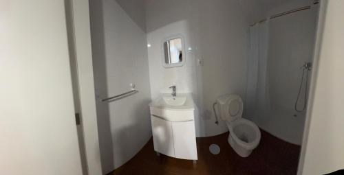 un bagno bianco con un water e un lavandino di T2 Ansião a Ansião