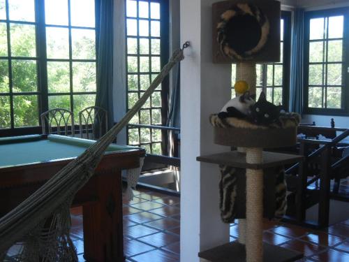 a cat sitting in a cat tree in a living room at The Cats' House in Florianópolis