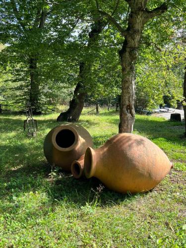 a large pot laying in the grass next to a tree at Nina's winery forest house in Kiketi in Tbilisi City
