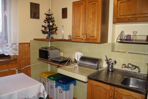 a kitchen with a christmas tree on the counter at Róża in Szklarska Poręba