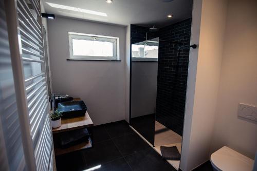 a bathroom with a shower and a toilet and a window at Burgemeesterhuys in Beringen