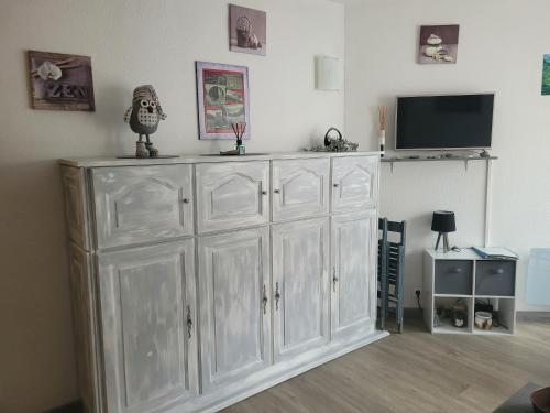 TV a/nebo společenská místnost v ubytování Studio à Baréges