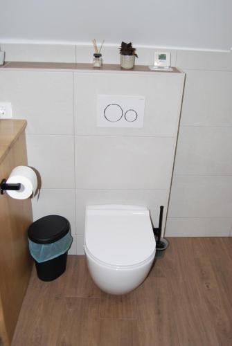 a bathroom with a white toilet in a room at Apartments Šlosarjeva Hiša Nature & Tradition in Preddvor