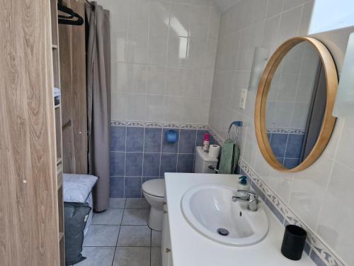 une salle de bain avec un lavabo, des toilettes et un miroir dans l'établissement STUDIO NID COSY avec piscine, à Bonnemain