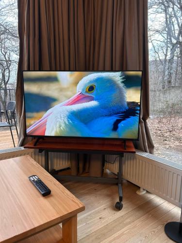 a painting of a blue bird on a tv screen at Nina's winery forest house in Kiketi in Tbilisi City