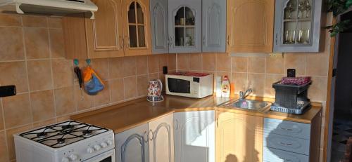 a kitchen with a stove and a microwave at Apartmán v centru Království sov in Králíky