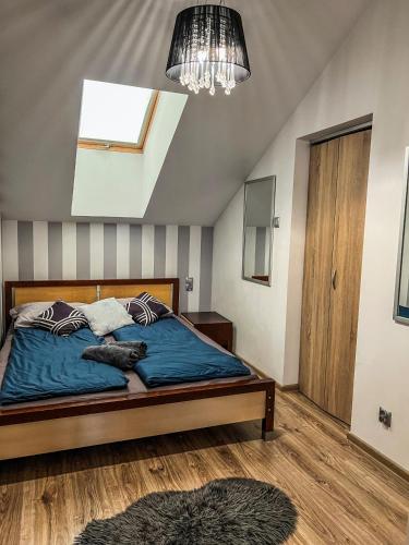 a bedroom with a bed with a cat laying on it at Wodna 16 premium in Konin