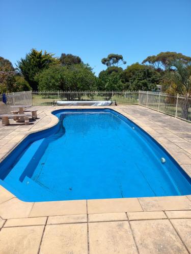a large blue swimming pool in a yard at BayView in Port Elliot