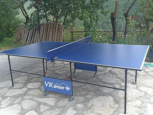 a blue ping pong table sitting on top of a stone ground at Green garden Կանաչ այգի in Ijevan