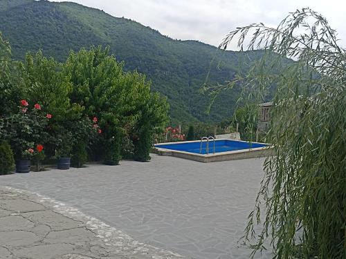 a swimming pool in the middle of a yard with mountains at Green garden Կանաչ այգի in Ijevan