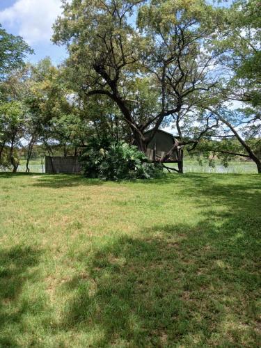 Taman di luar Camp Hogo Kavango