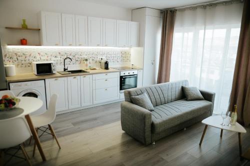 Η κουζίνα ή μικρή κουζίνα στο Viktor's place