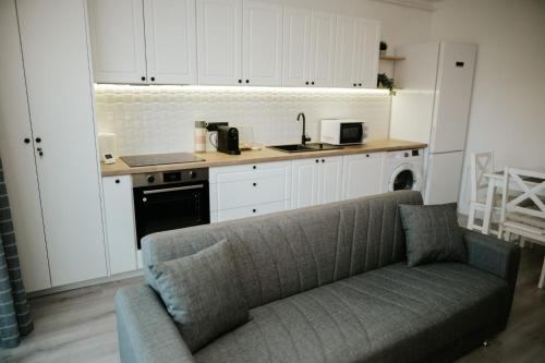 Η κουζίνα ή μικρή κουζίνα στο Viktor's place