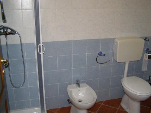 a bathroom with a toilet and a shower at B&B Le Grazie in Piaggine