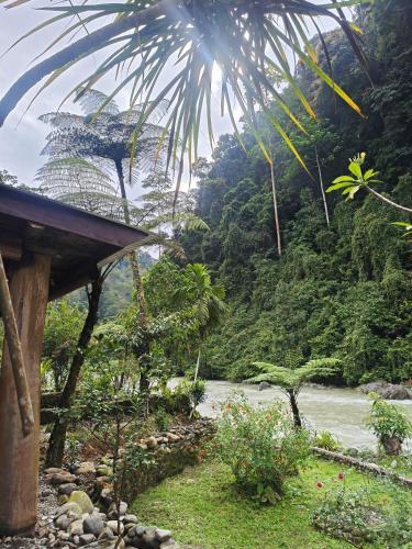 a view of a river with a mountain in the background at Back to Nature Ecotourism in Bukit Lawang