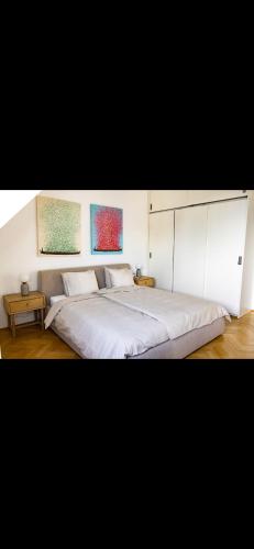 Rooftop Apartment in central Vienna