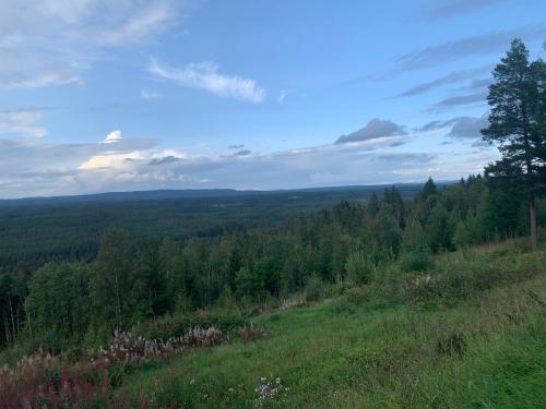 a view from the top of a hill with trees at Timmerstugan Dalarna - nära Mora och Orsa Grönklitt in Orsa